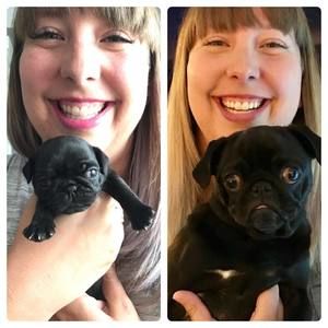 Meet your Posher, Julie